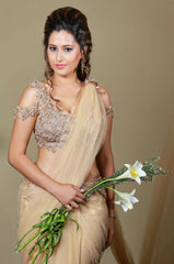 Anita silk and tulle Nude Saree - Runway Collections