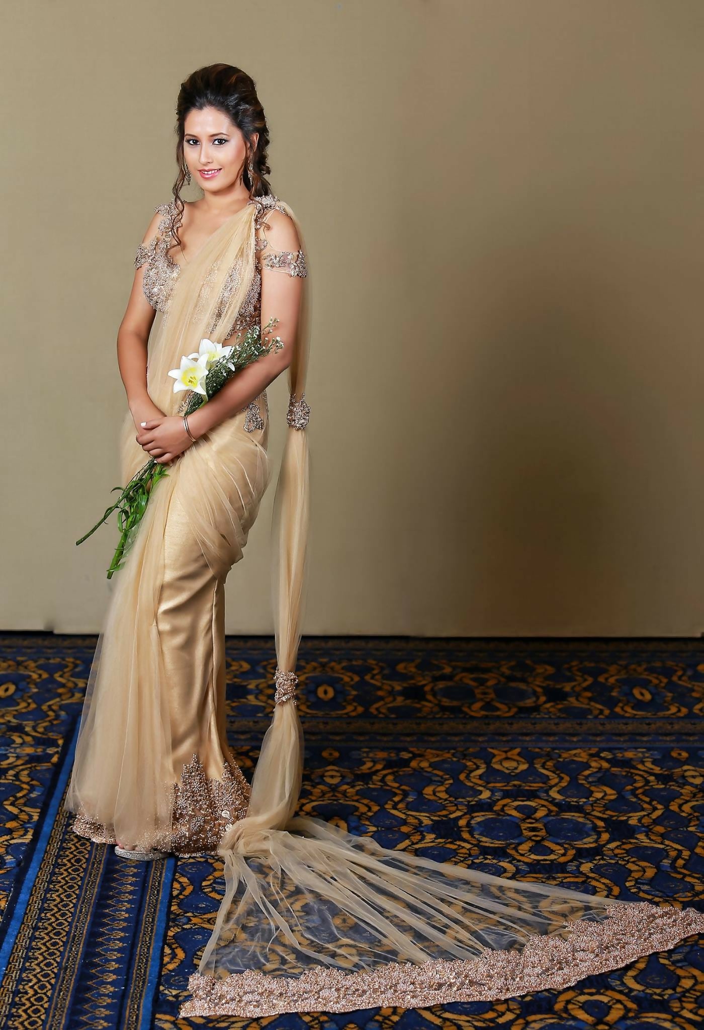 Anita silk and tulle Nude Saree - Runway Collections