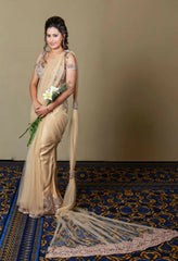 Anita silk and tulle Nude Saree - Runway Collections
